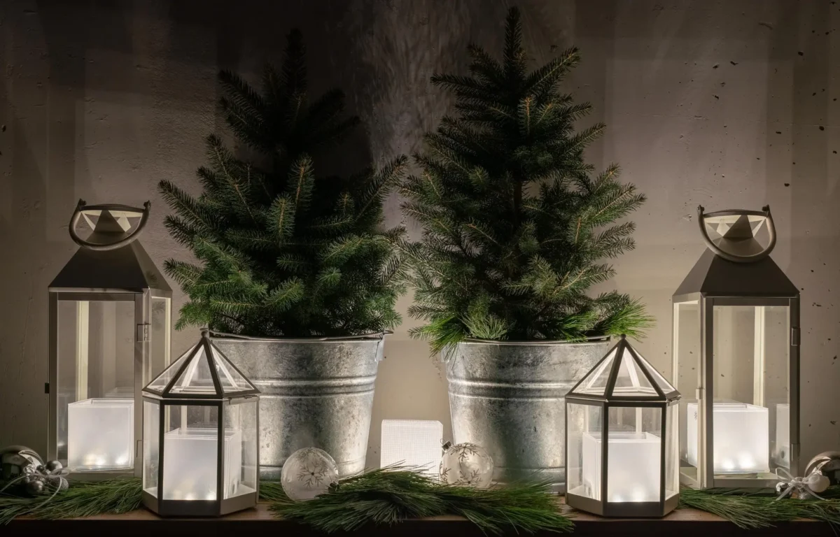 Two small potted pine trees in metal buckets are surrounded by four white lanterns with lit candles, glass ornaments, and pine branches, creating a festive holiday display against a neutral wall.
