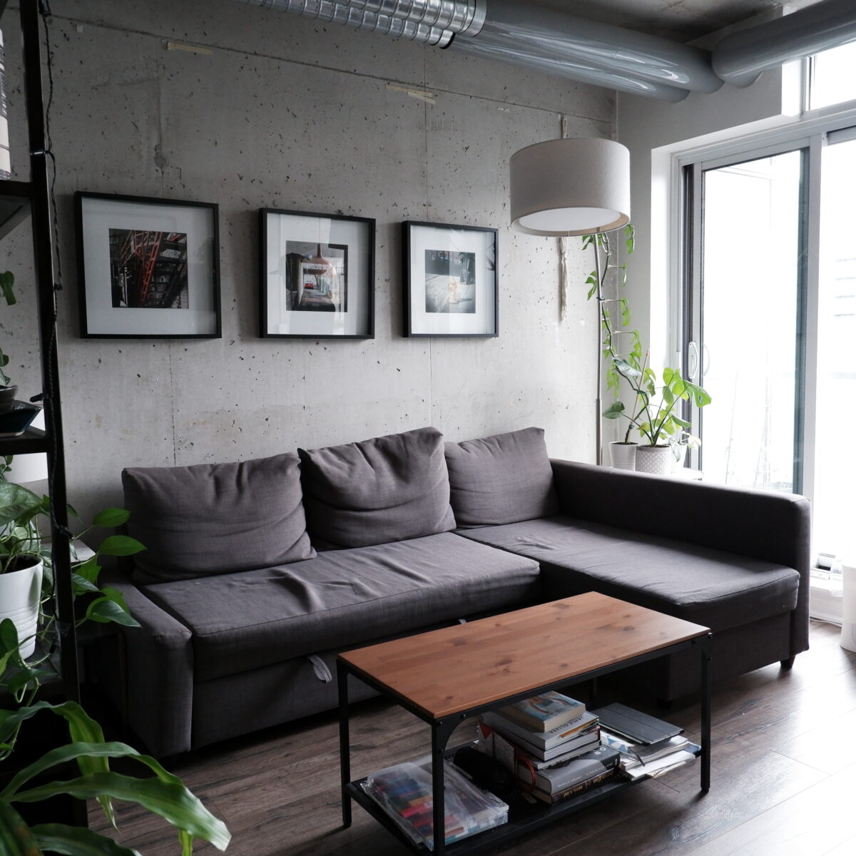 A modern living room with a gray sectional sofa, a wooden coffee table with books underneath, potted plants, and three framed photos on a concrete wall next to large windows letting in natural light.