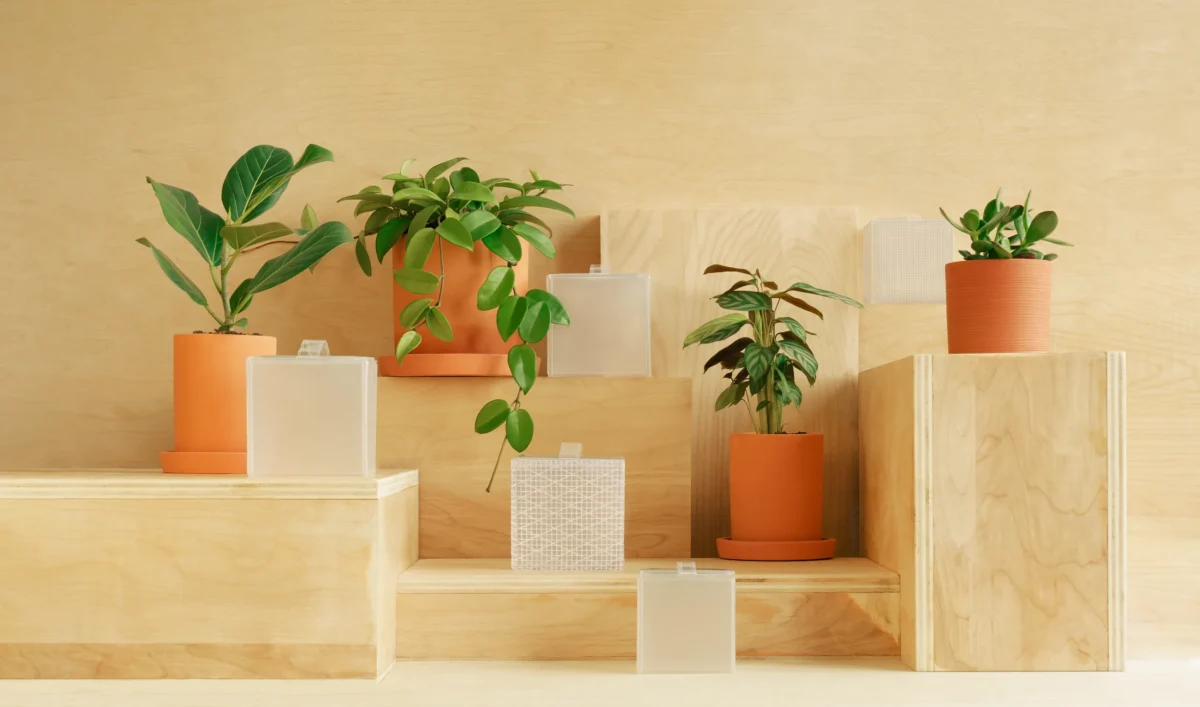 Several potted green houseplants in terracotta and orange pots are displayed on light wooden blocks, accompanied by frosted and patterned translucent containers, against a light wooden background.