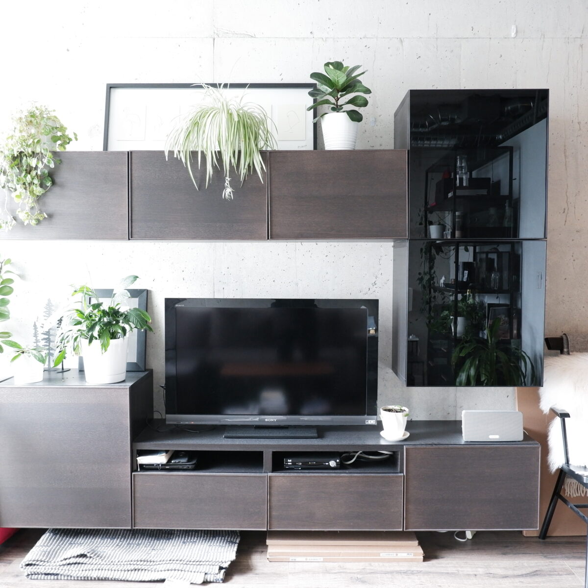 A modern living room setup featuring a dark wood entertainment center with a flat-screen TV, several green potted plants, and shelves with various decor items against a light wall.