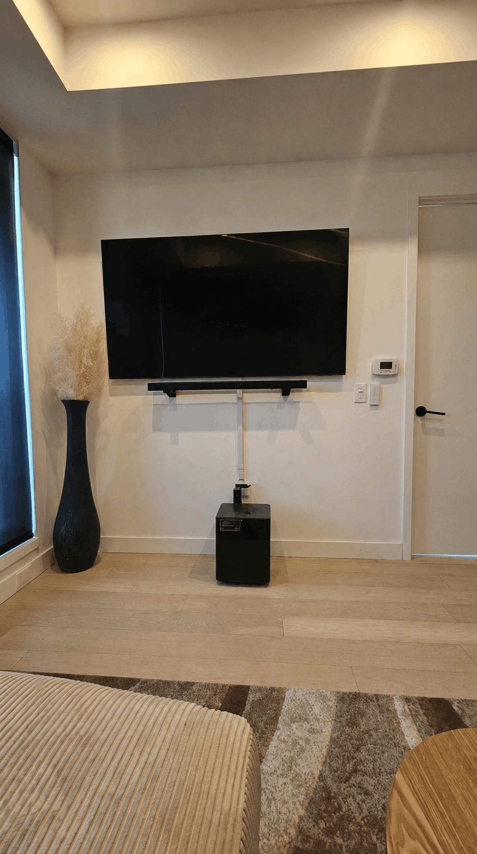 A flat-screen TV is mounted on a white wall above a black box and exposed cables. To the left is a tall black vase with pampas grass. A closed white door and a patterned rug are also visible in the modern room.